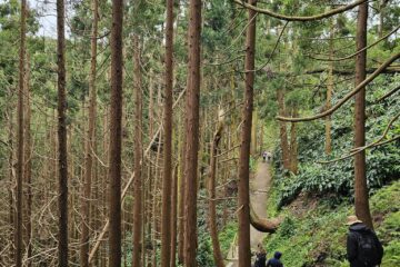 A Masszázzs segíti az elengedést?